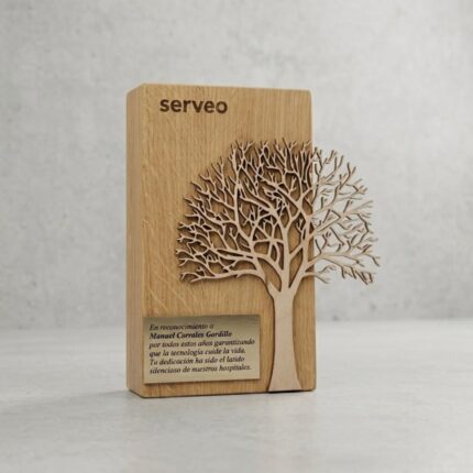 oro-balionu-sporto-prizas