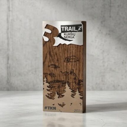 matematikos-olimpiados-medalis