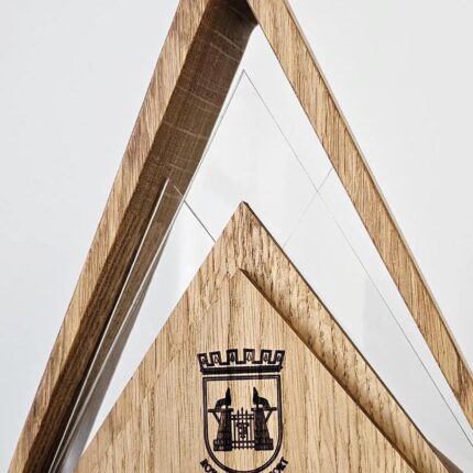 futbolo-batelis-auksinis-prizas