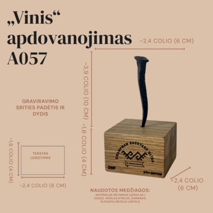 matematikos-olimpiados-medalis